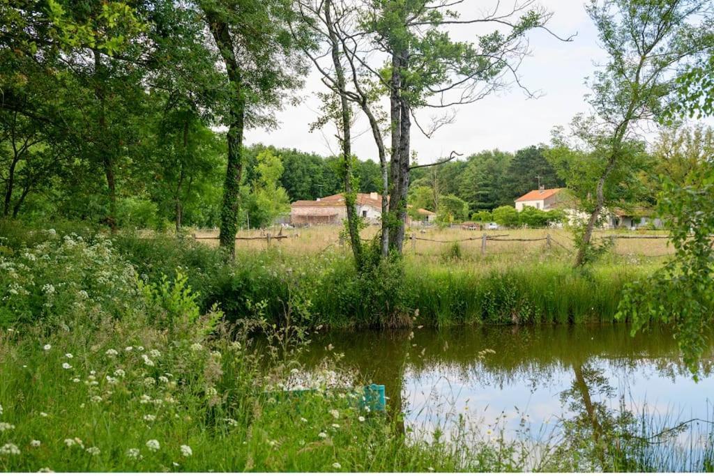 Villa L'Evasion En Pierre Piscine Et Etang Prive Sevremoine Exterior foto